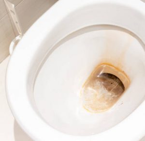 stains in toilet bowl due to iron or bacteria in tap water